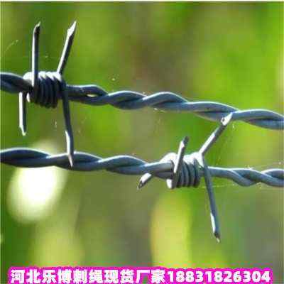 ƽ\KF(xin)؛S|F޼̾W(wng)IFz̾W(wng)