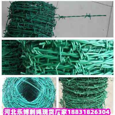 ƽ\KF(xin)؛SҺӱ܎FzW(wng)FzW(wng)
