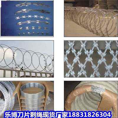 ӱ\ƬKF(xin)؛SҼֱO(jin)zo(h)W(wng)IW(wng)
