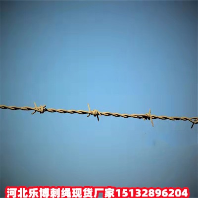 ӱ\KF(xin)؛SҺӱ\Fz\дFzW(wng)