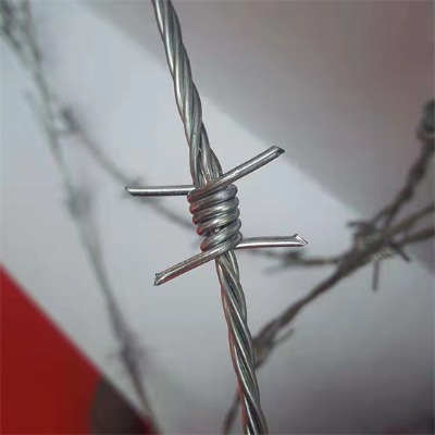 \KS10GƤK(yng)
