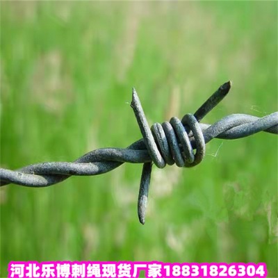 \KS7дFzW(wng)(yng)