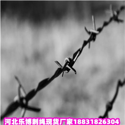 \KS5ȦɽдFzW(wng)F(xin)؛