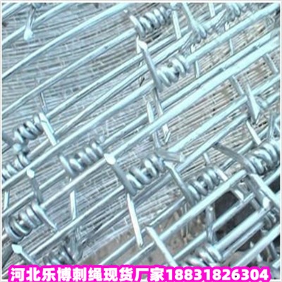 \KS12̖(ho)z@־Go(h)W(wng)(l)F(xin)؛(yng)
