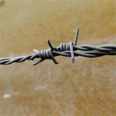 _(ti)\KS(chng)һ¡䓽zW(wng)IW(wng)