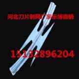 FݴKoW(wng)FꖵƬ̾W(wng)혙CL\oW(wng)