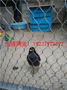 B᲻P䓾W(wng)B@P䓇ھW(wng)