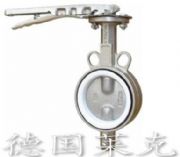 進(jìn)口襯四氟蝶閥