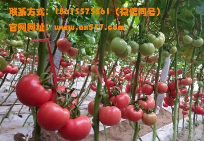 ӱُ(gu)ҰŷN磬ֵőеķS