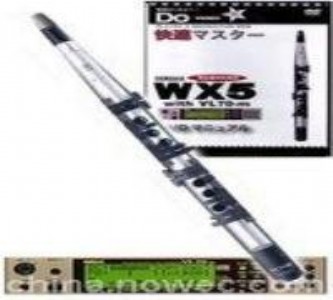 RWX5 16-Key Wind MIDI Contro