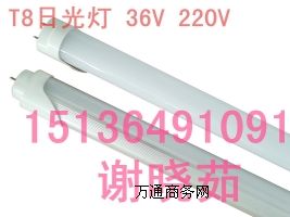 LED