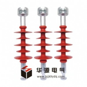 (yng)  FXBW-10KV/100(f)ϑʽ^ r(ji)