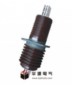 (yng) CWL-20KV(630-4000)A߉׹