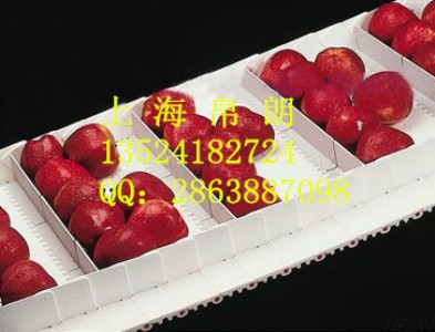 ʳƷϾW(wng) ʳƷϾW(wng)朏S ʳƷģKW(wng)會r(ji) 