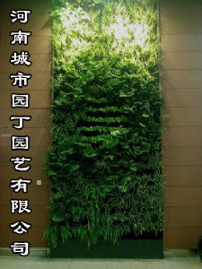 Ј@ݾGֲ˾-ϳЈ@