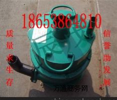 (yng)ïFQW70-30L(fng)ɳˮ