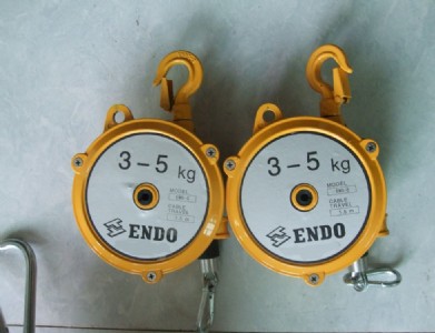 ձENDOƽЧʸ߉L(zhng)