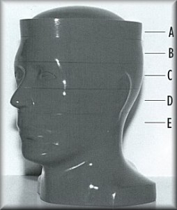 RSDģw(gu)Radiology Support Devic