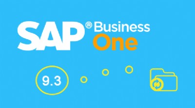 sap business one 9.3¹ܽBƼ