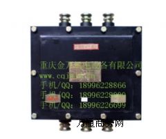 BAX5 127-AVø̖(ho)_(ki)P(gun)