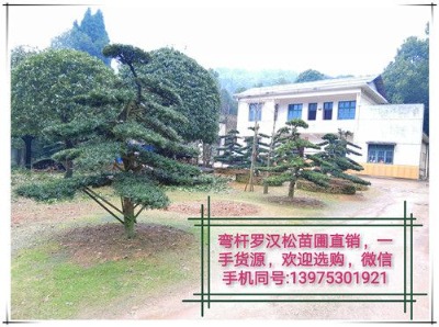 15ֺ_h-g_h辰l(f)