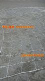 I(y)·ߎI(y)ԽW(wng)F·ԽW(wng)