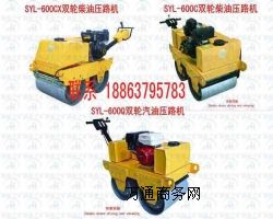 現(xiàn)貨出售德海牌小型推著走的雙輪壓路機(jī)