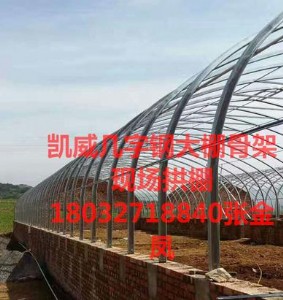 Sֱ(yng)\7045Ǽ܎䓙C(j)a(chn)S