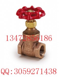 _317~lybg-p42