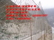 |бӷo(h)W(wng)S|бӾW(wng)Xһƽ|