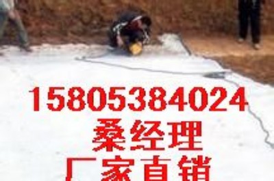 低價銷售河南人工湖防滲膜{魚塘蓄水池防滲膜}廠家