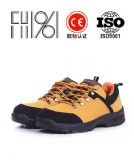wQ¿o늰ȫЬfh16-0313