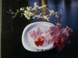 (yng)ӡC(j) һC(j) N|(zh)ӡˢ ¸ӡˢC(j)е