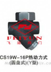cs19w-16pʽ(APʽ)(y)