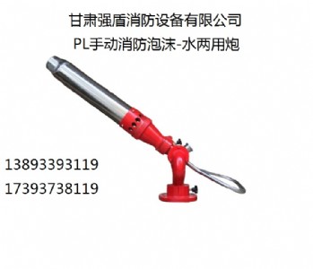 防爆手動消防水炮 甘肅強盾