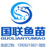 VЇ(gu)(lin)~l(f)չй˾