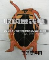 l(f)ʯX