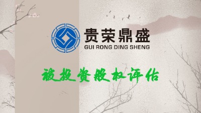 四川成都股權(quán)收益評估