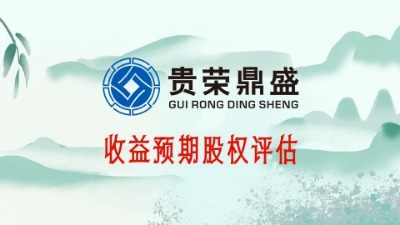 四川成都收益預(yù)期股權(quán)評估