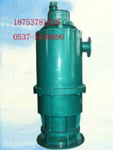 BQS120-50-30VÝˮ,۱,ɳ