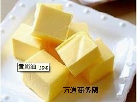 ׻SͶX
