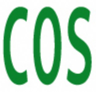СĭO