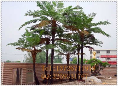 播SֱN ߷؃r(ji)l(f)