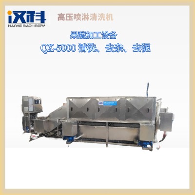 洗姜機(jī)器 小黃姜清洗機(jī) 全自動(dòng)洗姜機(jī)