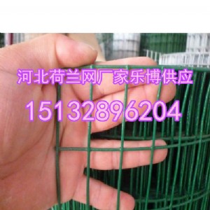 ϲB(yng)ֳFzW(wng)Ҏ(gu)mW(wng)oW(wng)SֱN