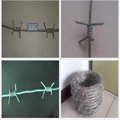 PдFzW(wng)PFzW(wng)PF޼