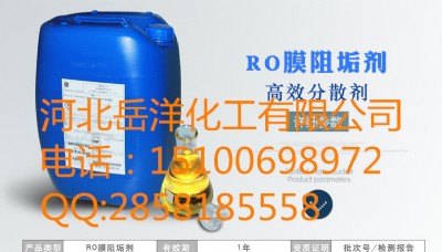 (yng)roĤB͸蹸