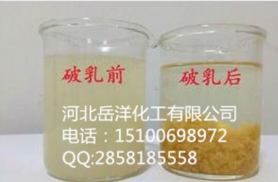 (yng)鄩