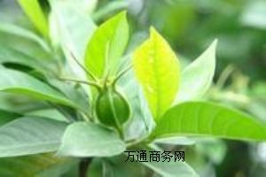 dS(yu)|(zh)ʳƷ(j)dS