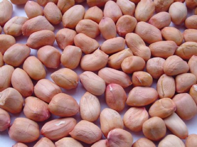 pͷD(zhun)